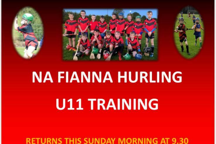 Na Fianna Hurling U11 Training