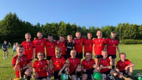 U11 Community Games – Na Fianna vs SBK/Coolderry