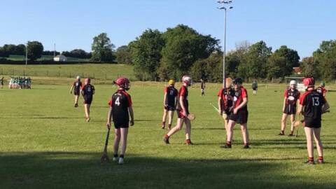 U15 Hurling League B Final – Na Fianna vs Ferbane/Belmont